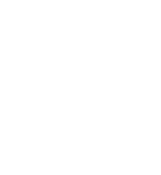 EM Consulting